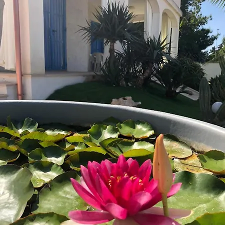 La Sirenetta Bellicosa Hébergement de vacances *