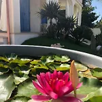 La Sirenetta Bellicosa Σπίτι διακοπών *